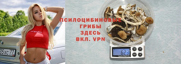 ПСИЛОЦИБИНОВЫЕ ГРИБЫ Армянск