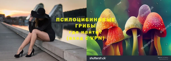каннабис Алексеевка
