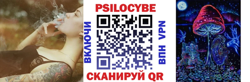 Галлюциногенные грибы Psilocybe  Бабаево 